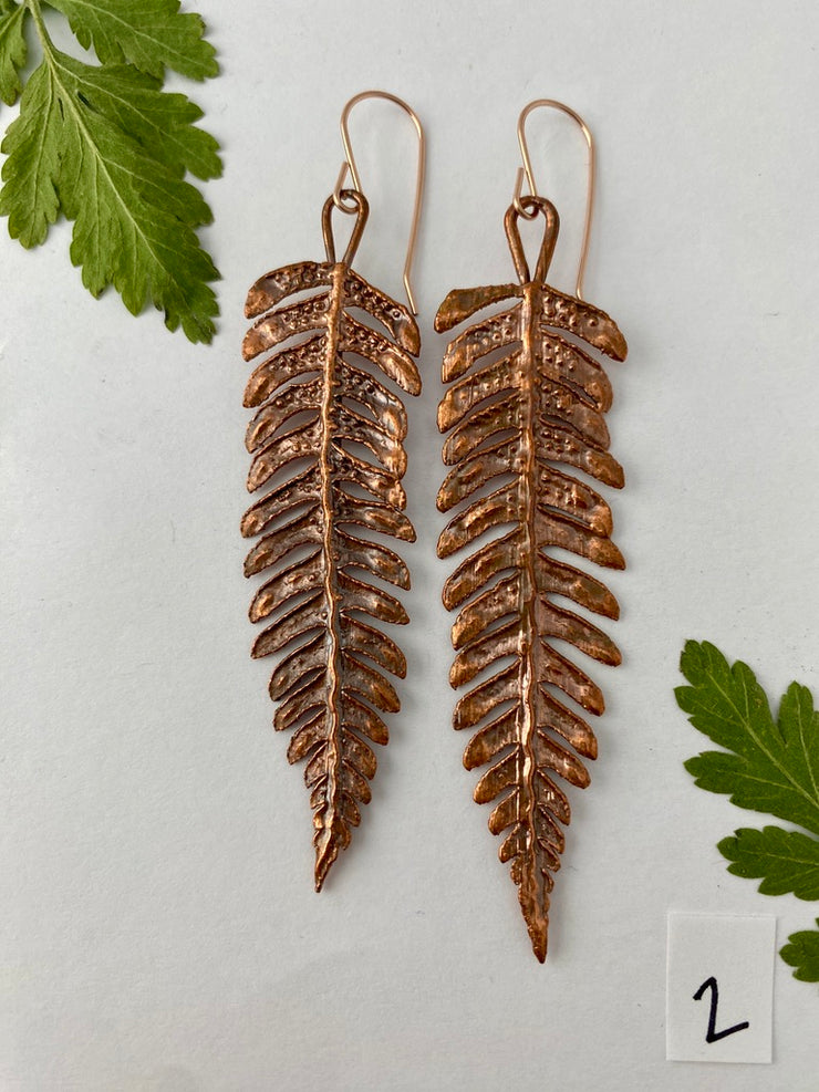 Wood Fern Earrings