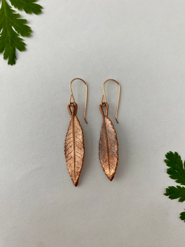 real chinese elm leaves electroplated recycled copper 14 karat rose gold made in usa simple wealth art