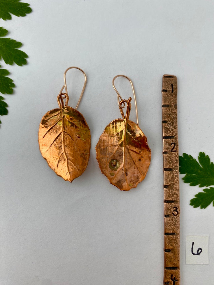 recycled copper electroformed oak leaf earrings valley oak coast oak live oat garry oak rose gold simple wealth art made in usa