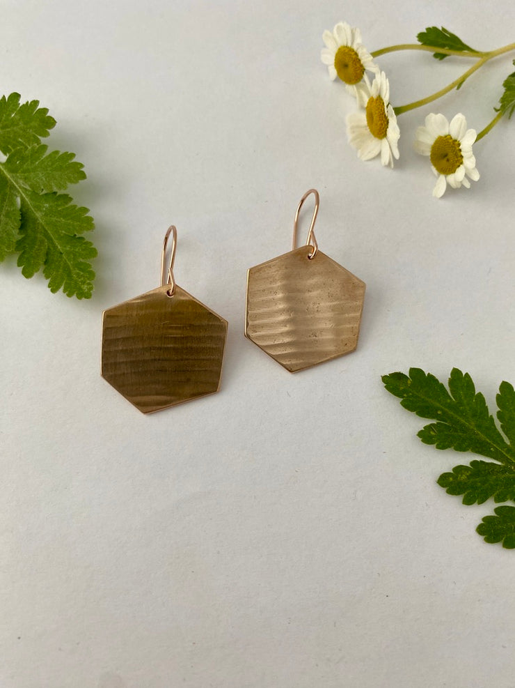 Hexagon Earrings