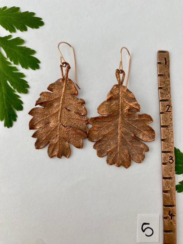 recycled copper electroformed oak leaf earrings valley oak coast oak live oat garry oak rose gold simple wealth art made in usa