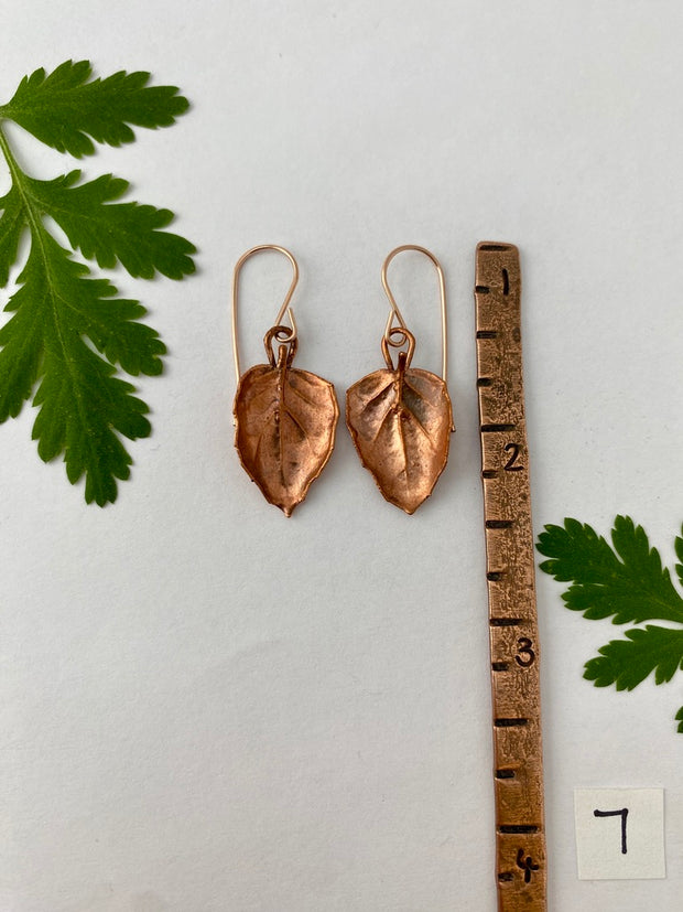 recycled copper electroformed oak leaf earrings valley oak coast oak live oat garry oak rose gold simple wealth art made in usa