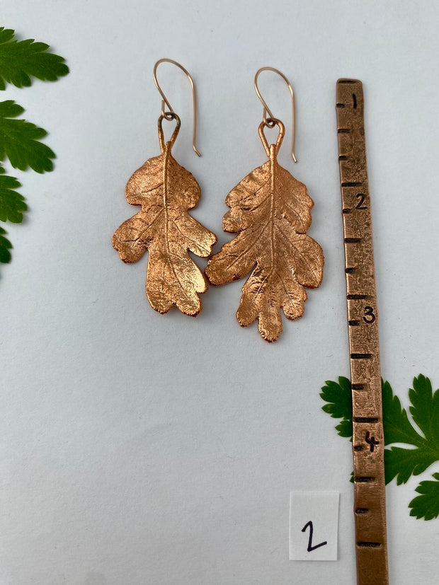 recycled copper electroformed oak leaf earrings valley oak coast oak live oat garry oak rose gold simple wealth art made in usa